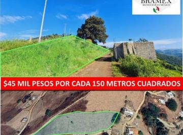 Terreno / Lote · 287m² · Terreno en Cerro de Mazatepec