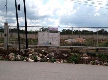 Terreno comercial , Mérida · Terreno Para Renta Sobre Periferico