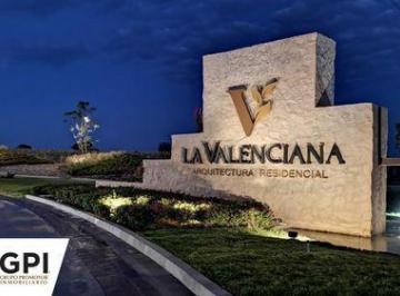 Terreno / Lote · 364m² · Terreno Venta La Valenciana León Guanajuato