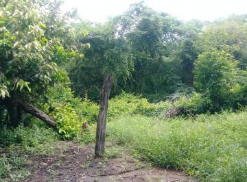 Terreno comercial de 1 habitación, Santiago Niltepec · Terreno Agropecuario Potencial Industrial