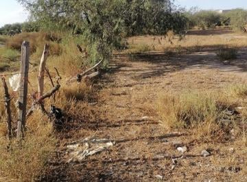 Terreno / Lote · 5000m² · Terreno Para Inversionistas en Venta en Los Gómez