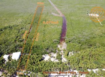 Terreno / Lote · 6000m² · Terreno con Cenote en Venta | Tulum | Quintana Roo