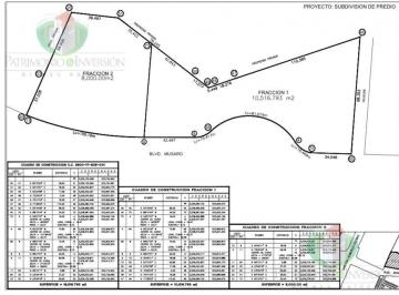 Terreno / Lote · 10000m² · Terreno - Fraccionamiento Altares