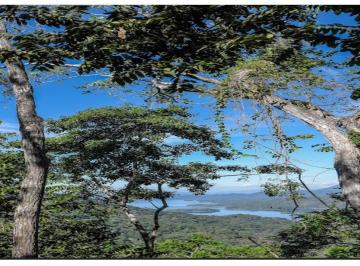 Terreno / Lote · 3282m² · Terreno en Venta Presa Cajón de Peña (La Presa), en Tomatlán, Jalisco.