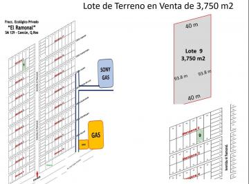 Terreno / Lote · 1m² · 4 Estacionamientos · Terreno Ecológico, Venta de 3,750 m², Fracc. El Ramonal, Km 15, Cancún - Mérida