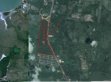 Terreno / Lote · 321878m² · Carretera México - Tuxpan - Tampico