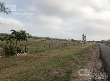 Terreno / Lote · 1875m² · Terrenos (5) en Venta en Ejido Barra del Tordo, Aldama, Tams.