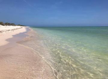 Terreno / Lote · 7200m² · Macrolote Frente Al Mar en Sisal Yucatán. Ideal Para Desarrolladores