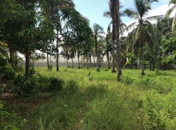 Terreno / Lote · 10000m² · Huerta en Bonfil