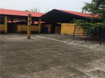 Quinta · 9920m² · La Antigua, Rancho en Venta, con Instalaciones Para Manejo de Ganado