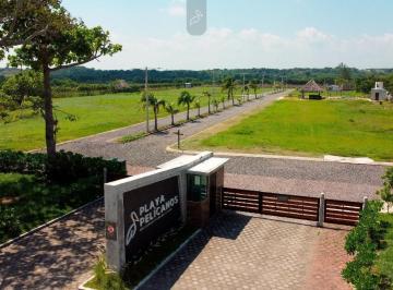 Terreno / Lote · 600m² · Alvarado, Playa Pelícanos, Terrenos en Venta Frente Al Mar, en Contacto con La Naturaleza
