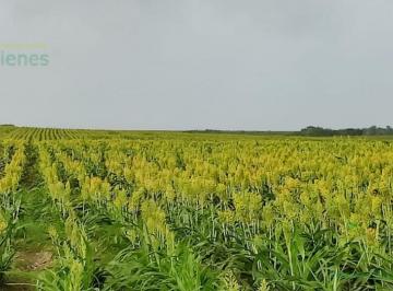 Terreno / Lote · 700000m² · Terreno - Ejido San Antonio Rayón