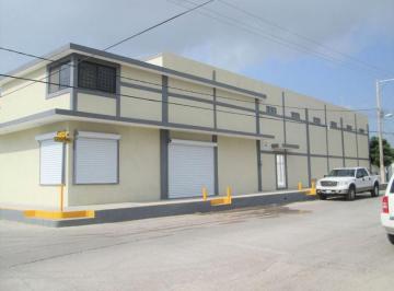 Bodega comercial · 750m² · 5 Estacionamientos · Bodega Renta, Col. Villahermosa