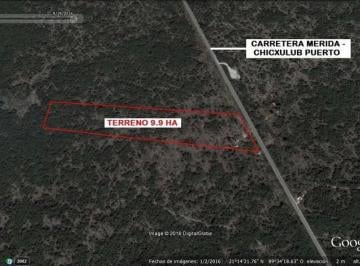 Terreno / Lote · 99012m² · Terreno de 9.9 Ha a Pie de La Carretera Mérida - Chicxulub Puerto