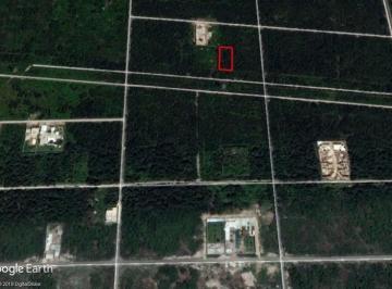 Terreno / Lote · 1000m² · Temozón Norte 1,000 m² (23.5 m X 48 M) Zona de Desarrollo