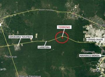 Terreno / Lote · 31386m² · 3.13 Hectáreas Carretera a Hunucma Antes de La Cervecería