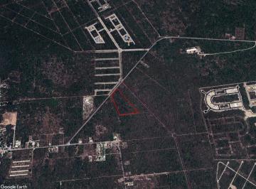 Terreno / Lote · 31238m² · Terreno de 3.12 Ha - a Pie de Carretera Komchen - Sierra Papacal - Cfe Disponible