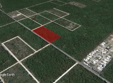 Terreno / Lote · 21593m² · Terreno Komchen 21,600 m² a Pie de Carretera Komchen, Cfe Disponible