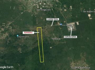 Terreno / Lote · 1293000m² · 129.30 Hectáreas por La Cervecería Hunucmá, a Pie de La Carretera Principal