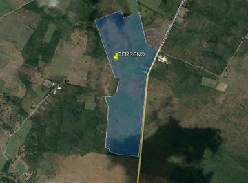 Terreno / Lote · 1169804m² · Vendo Terreno Sobre Carretera Campeche - Hool en Champoton