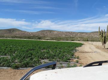 Terreno comercial , La Paz · Terreno Palmarito