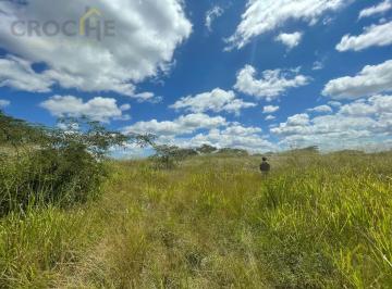 Terreno / Lote · 919m² · Terreno en Venta en 2 Rios Emiliano Zapata Veracruz.