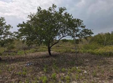 TERRENO · Lote Holbox Cercano Al Ferry, Quintana Roo