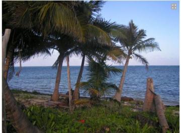 Terreno / Lote · 1300m² · Lote 35 Tanquila. Mahahual