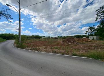 Terreno / Lote · 8114m² · Terreno en Venta Para Desarrollar en Margaritas Cholul, Mérida. - (4)