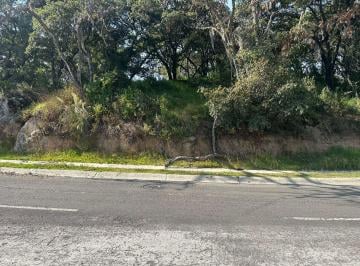 Terreno / Lote , Atizapán de Zaragoza · Terreno en Venta Sayavedra Sherwood Forest