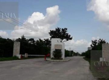 Terreno / Lote · 300m² · Terreno en Venta Av Huayacan Fraccionamiento Pedregal