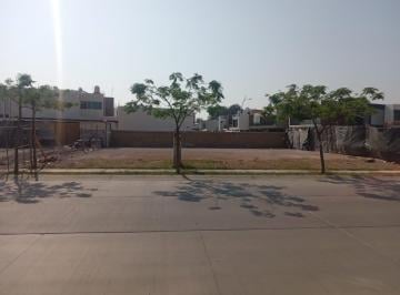 Terreno / Lote · 137m² · Terreno en Residencial Camino Viejo