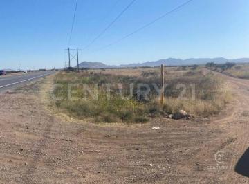 Terreno / Lote · 30000m² · Terreno en Venta en Campo El Torreon, carretera Cd Juarez Chih.