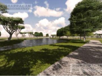 Terreno / Lote · 356m² · Lotes Residenciales en Venta La Espiga