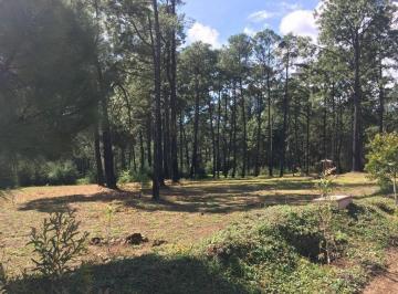 portada · Terreno 91 en Venta en Tapalpa, Jalisco.