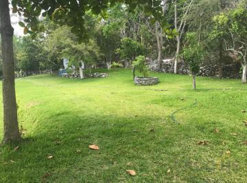 Terreno / Lote · 40000m² · Rancho en Venta Plan del Río "El Fuerte" Emiliano Zapata, Ver.