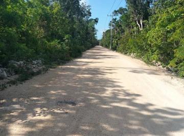Bodega comercial · 10000m² · Terreno en Venta en Tulum Quintana Roo