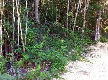 Terreno / Lote , Tulum · Terreno en Francisco Uh May, Tulum, Bonito, Mucho Frente