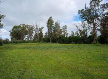 ed429a5569301e998c684546f1e93e06d9042b29215f177caf1eca34b4900e56 · En Venta Lote en Viñedo San Lucas, San Miguel de Allende
