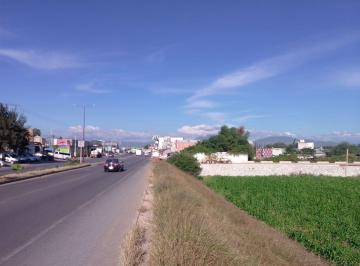 Terreno / Lote 10000m² Venta Panales · Venta de Terreno en Ixmiquilpan, Sobre Carretera Federal