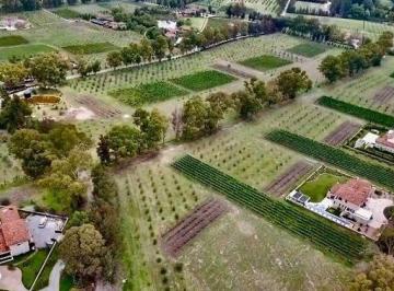 Terreno / Lote , San Miguel de Allende · Venta de Terreno en Viñedo San Lucas