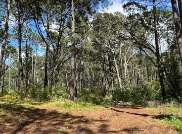 Terreno / Lote , Tapalpa · Terrenos de en Venta Exclusivo Fraccionamiento Tapalpa Jalisco.