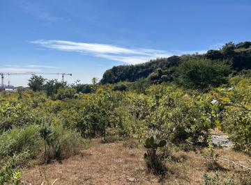 Terreno / Lote · 193753m² · Terreno en Venta Periferico Ciudad Granja.
