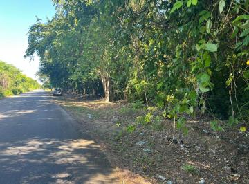 Terreno / Lote , Othón P. Blanco · Terreno en Venta (10 Has)