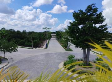 Terreno / Lote · 359m² · Terreno - Pueblo Chablekal