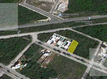 Terreno / Lote · 1181m² · Terreno en Pueblo Cholul