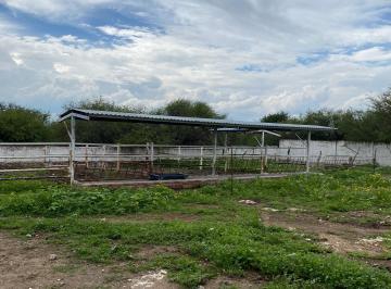 Corrales techados para vacas o toros de engorda · Bonito Rancho en Operación