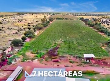 Rancho , Aguascalientes · Rancho en Venta en Aguascalientes en El Llano Granja Xochitl