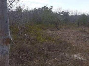 portada · Terreno Lote en Holbox