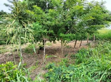 Terreno / Lote , Poza Rica de Hidalgo · Venta de Terreno en La Colonia Azteca Cerca del Cebetis y de La Col Aipm